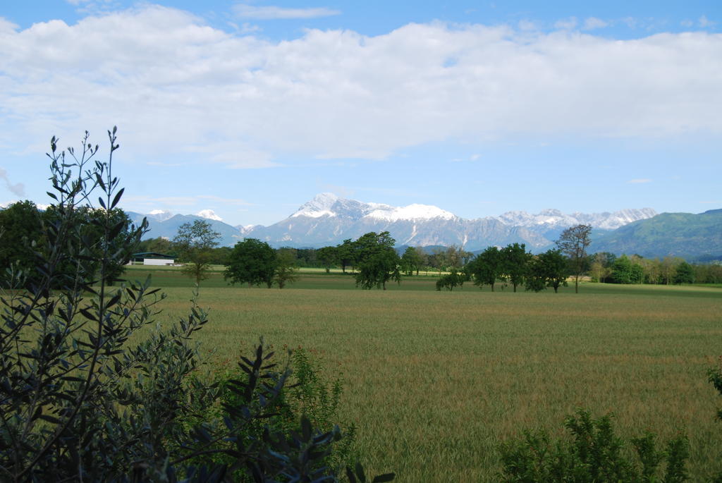 Bed and Breakfast Antico Borgo San Daniele del Friuli Exterior foto